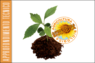 thumb_approf_agricoltura_bio1