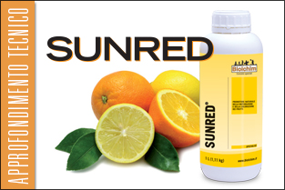 thumb_approf_sunred_agrumi-11