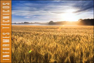 thumb_approf_tec_mejorar_rendimiento1