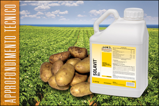 thumb_approf_tec_solavit_tubero1