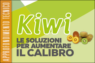 thumb_approfondim_KIWI1