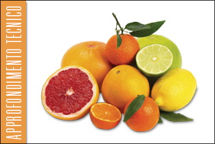 thumb_approfondim_agrumi1