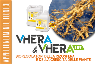 thumb_approfondim_tecnico_VHERA-11